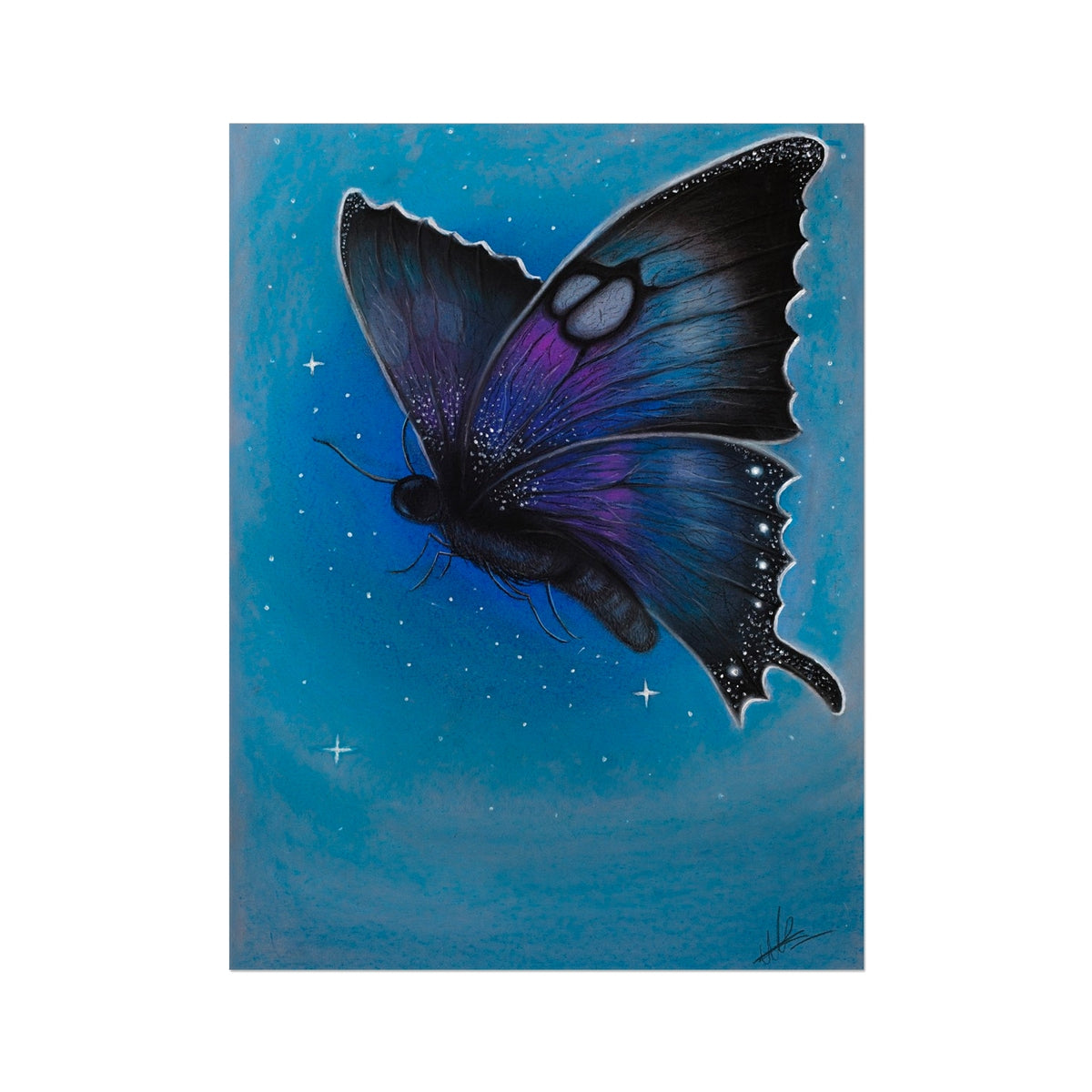 Hahnemühle German Etching Print | Starry Moth