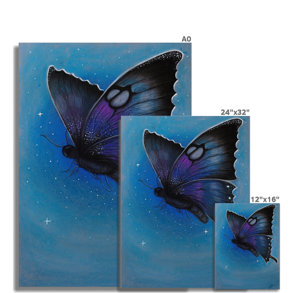 Hahnemühle German Etching Print | Starry Moth