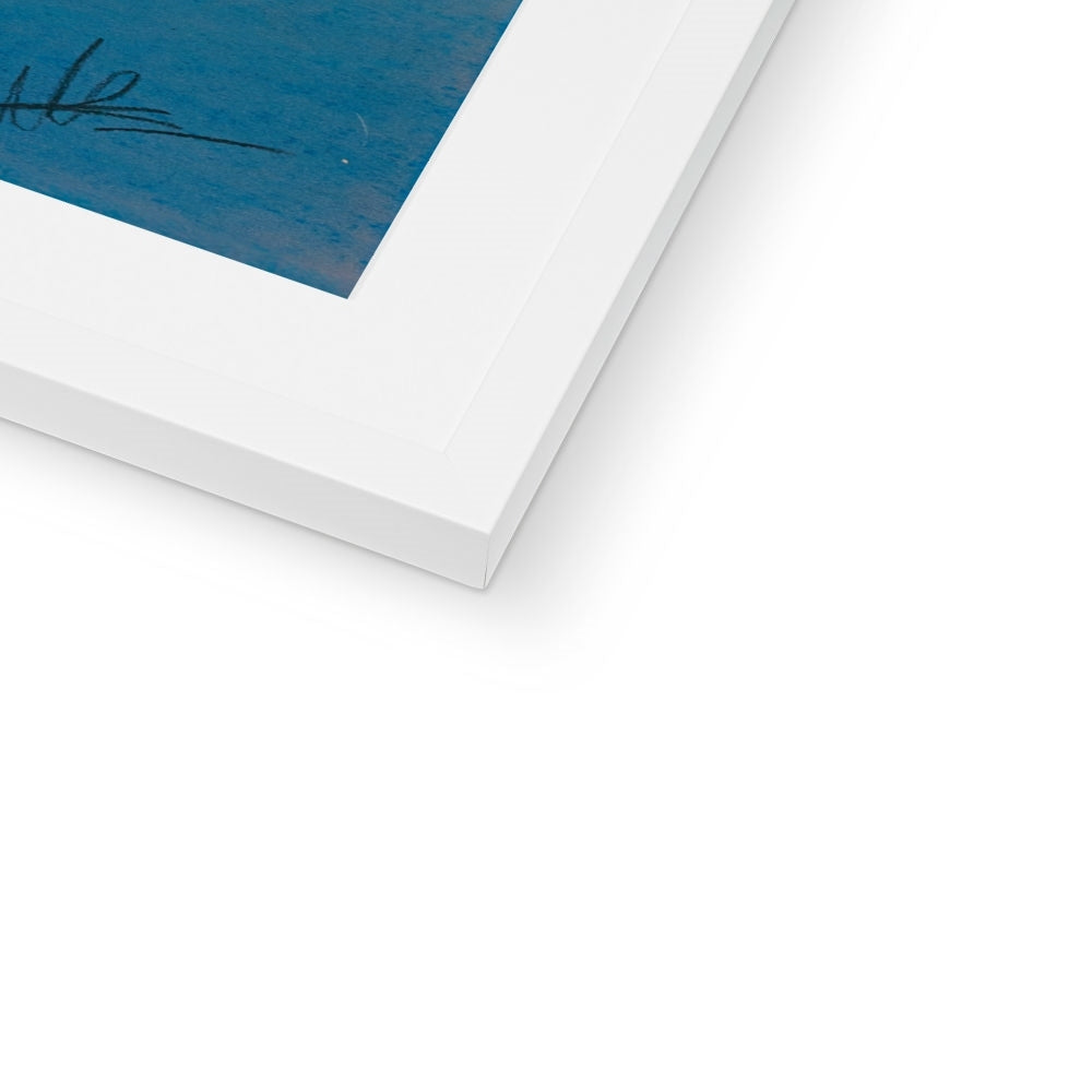 Framed & Mounted Print | Starry Moth