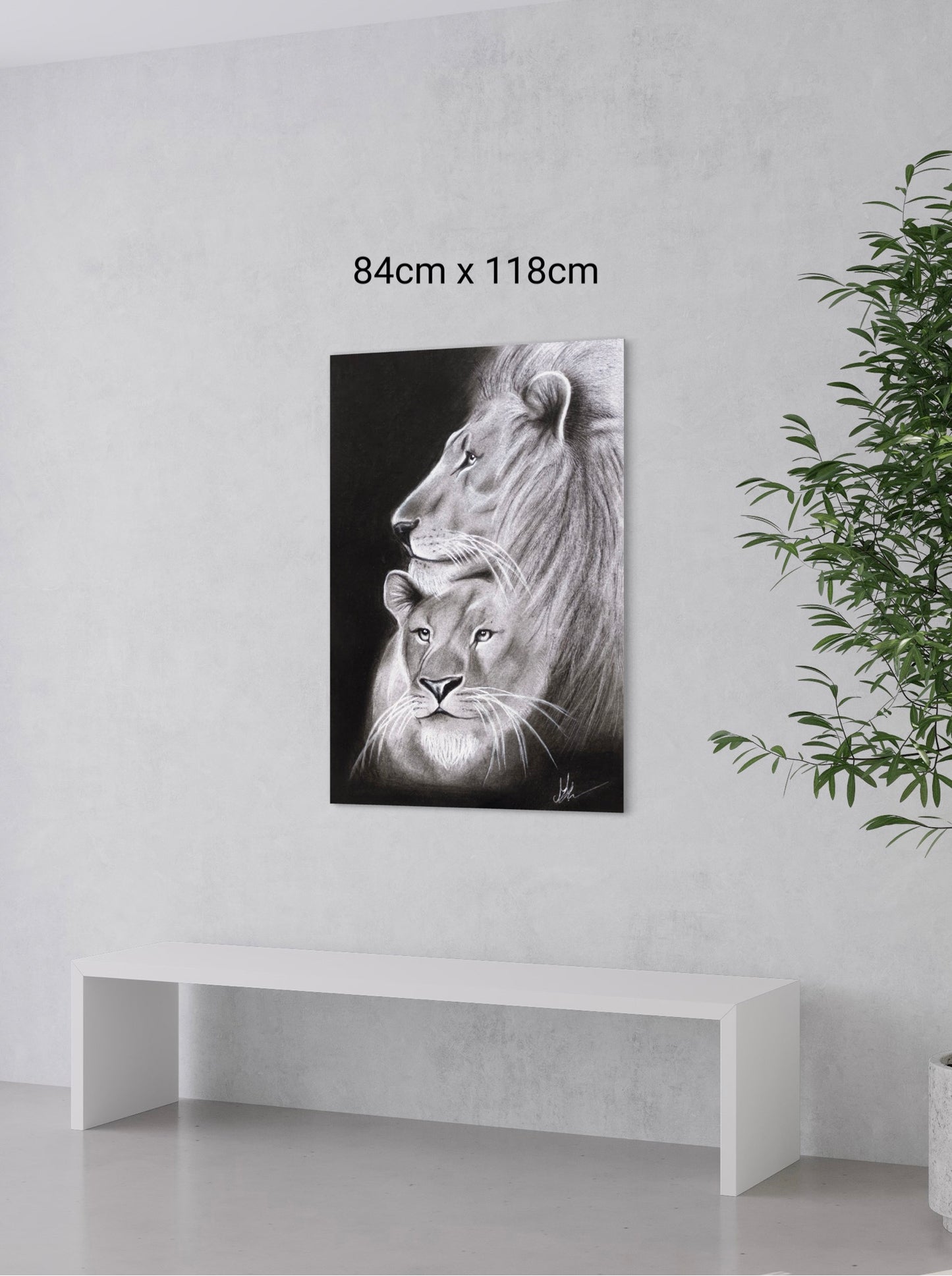 Hahnemühle German Etching Print | Lion