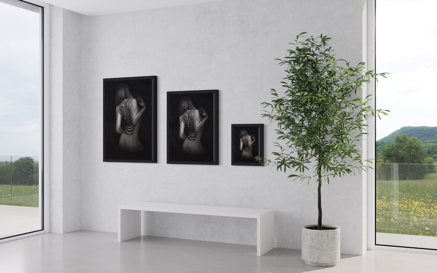 Framed Canvas | Elegant