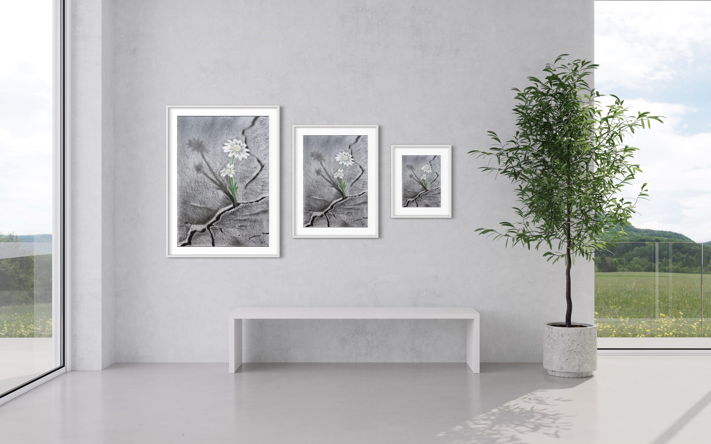 Framed & Mounted Print | Hope