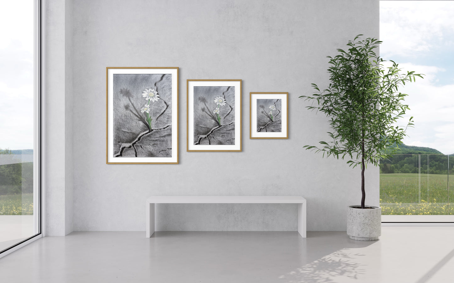 Framed & Mounted Print | Hope