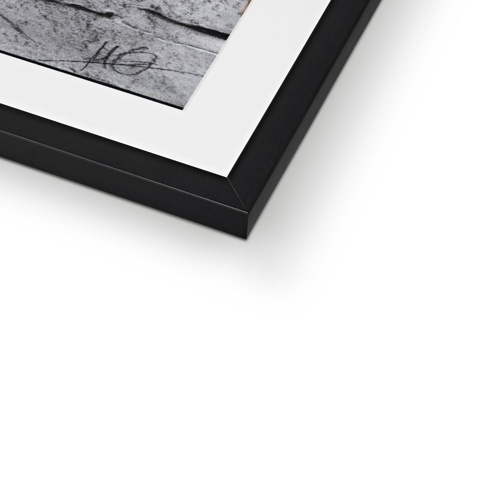 Framed & Mounted Print | Hope