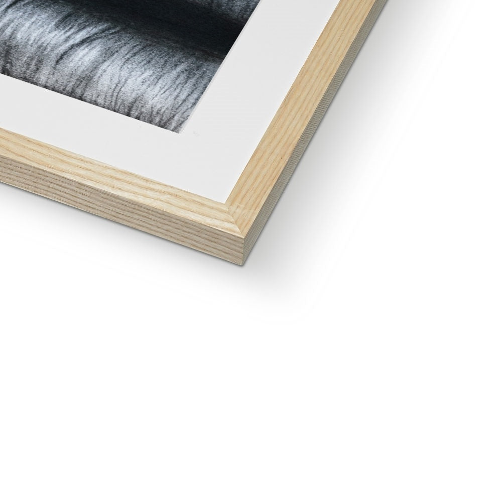 Framed & Mounted Print | Together