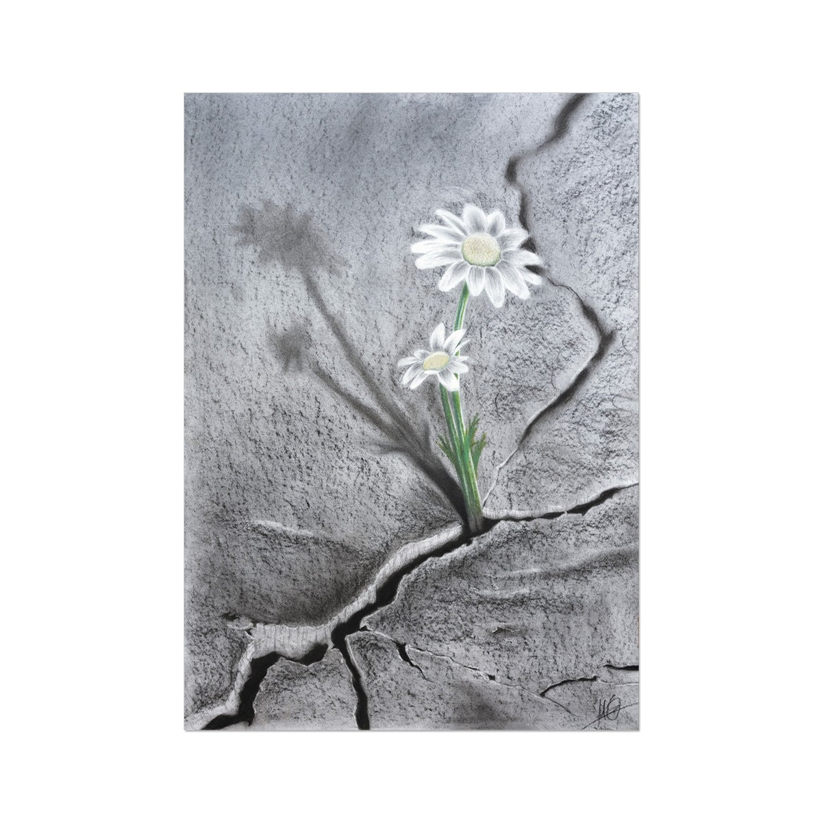 Hahnemühle German Etching Print | Hope