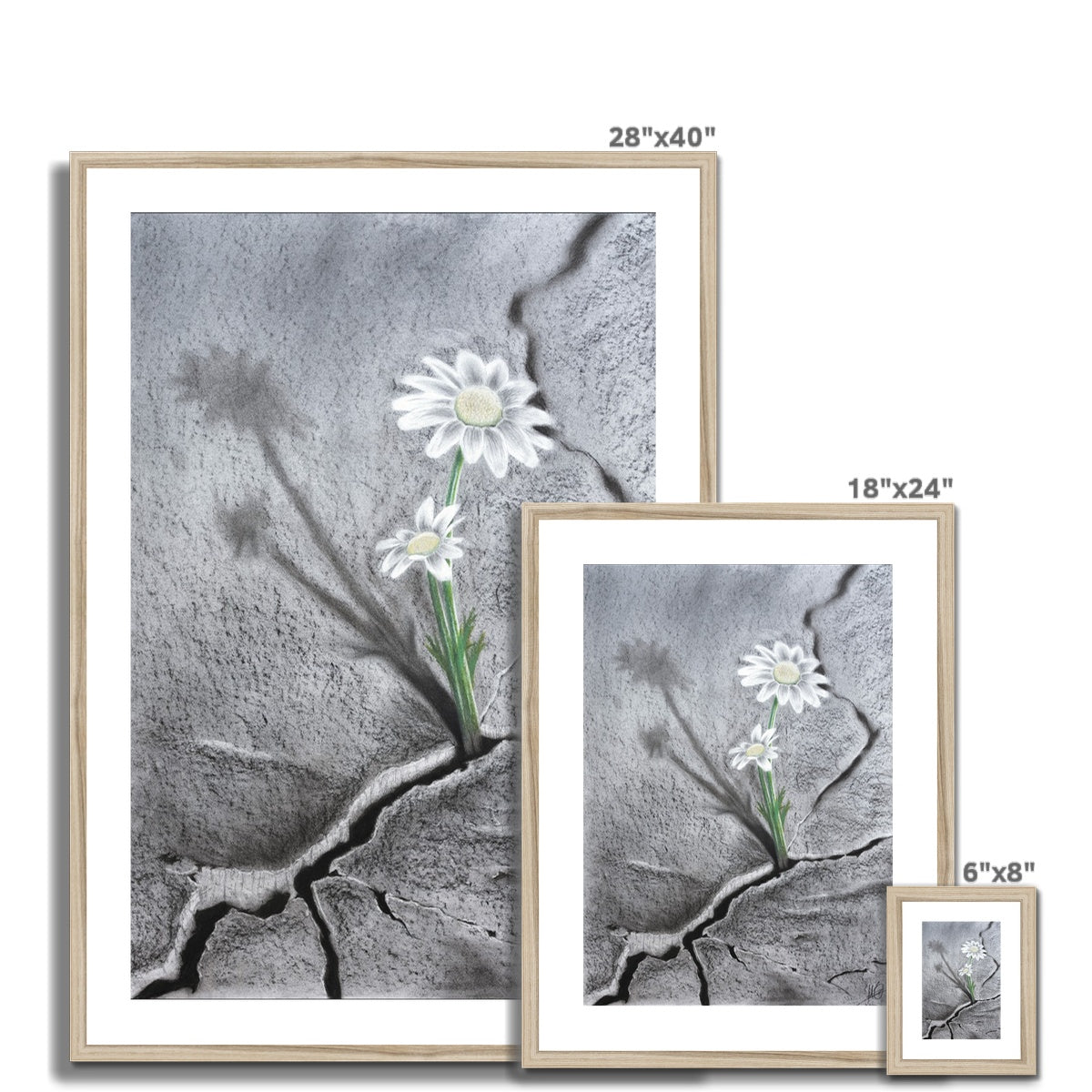 Framed & Mounted Print | Hope