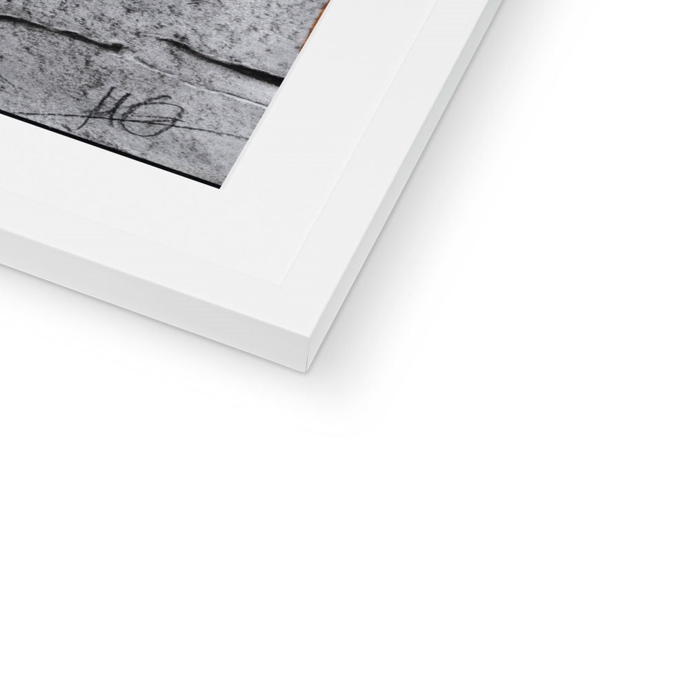 Framed & Mounted Print | Hope