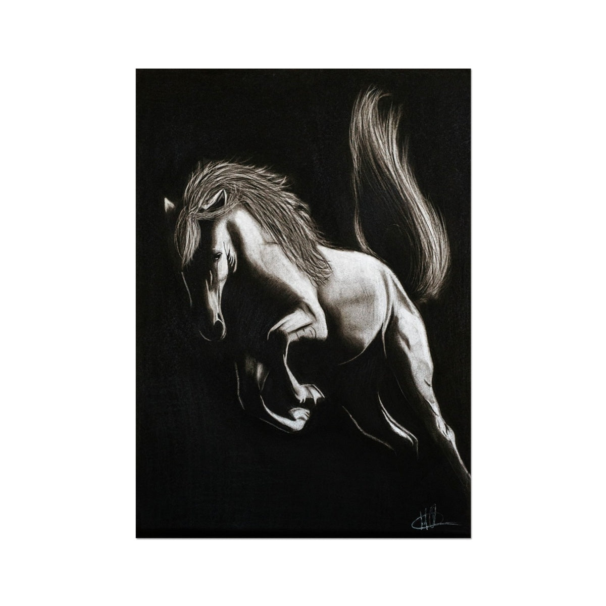 Hahnemühle German Etching Print | Pferd