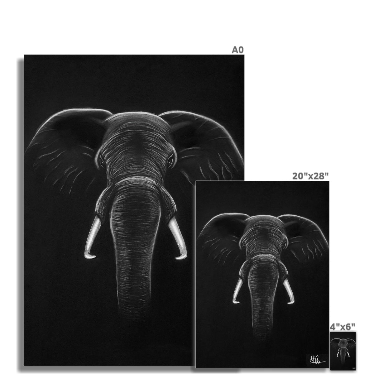 Hahnemühle German Etching Print | Elephant