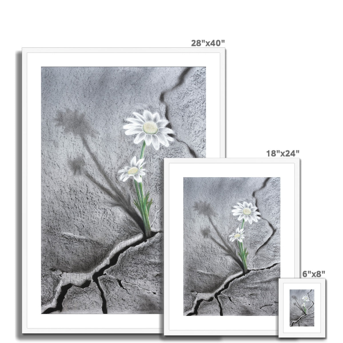 Framed & Mounted Print | Hope