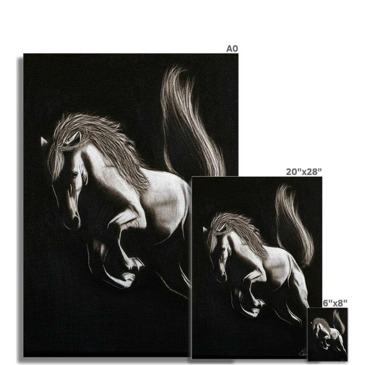 Hahnemühle German Etching Print | Pferd