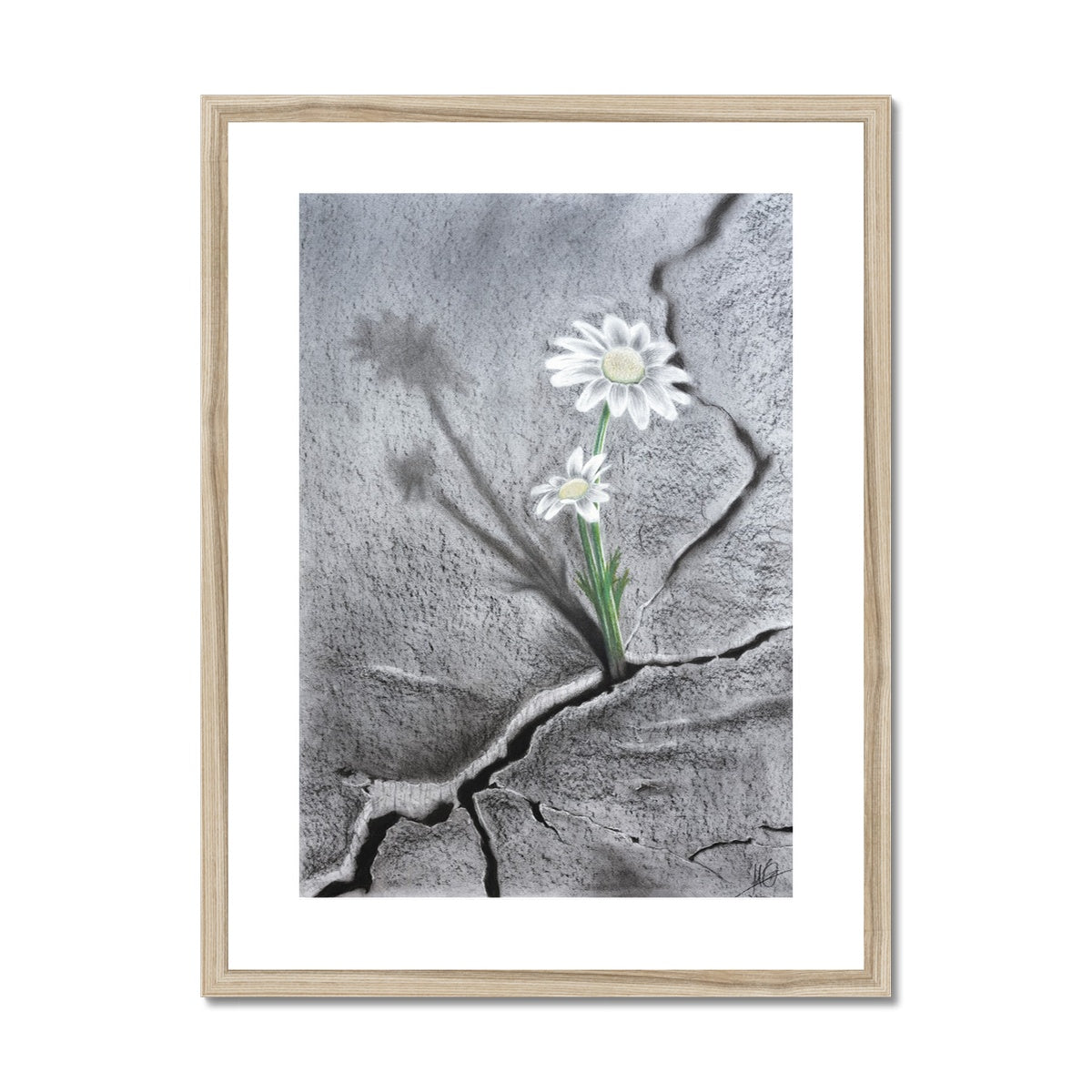 Framed & Mounted Print | Hope