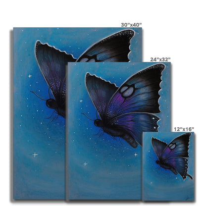 Bunter Schmetterling Canvas