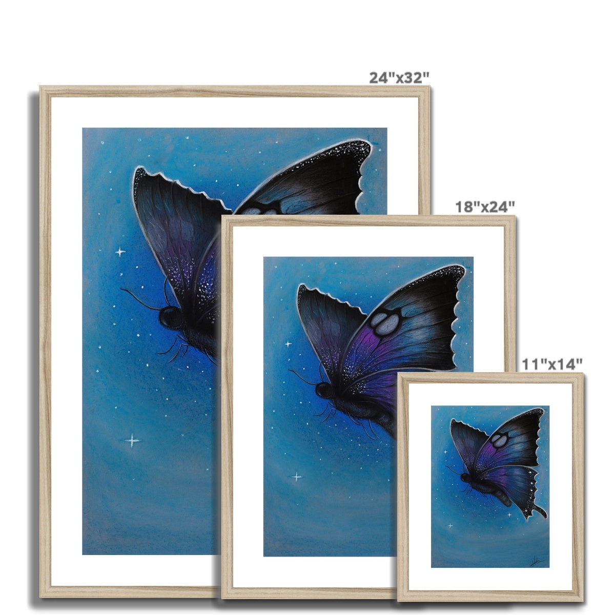 Framed & Mounted Print | Starry Moth
