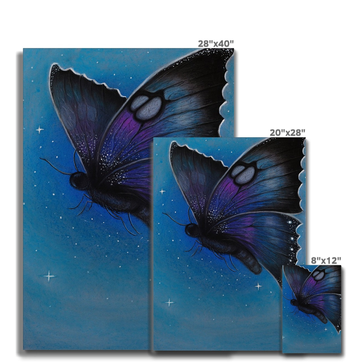 Canvas | Starry Moth