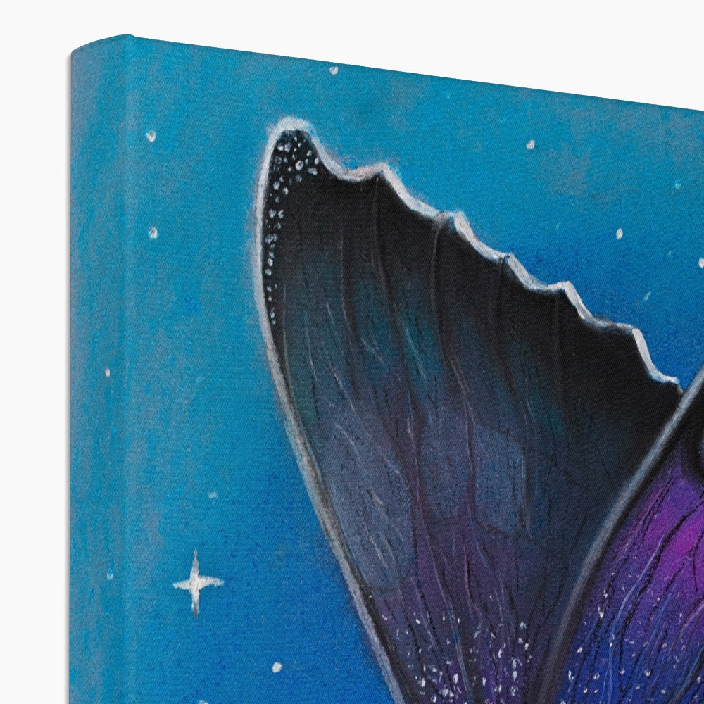 Bunter Schmetterling Canvas