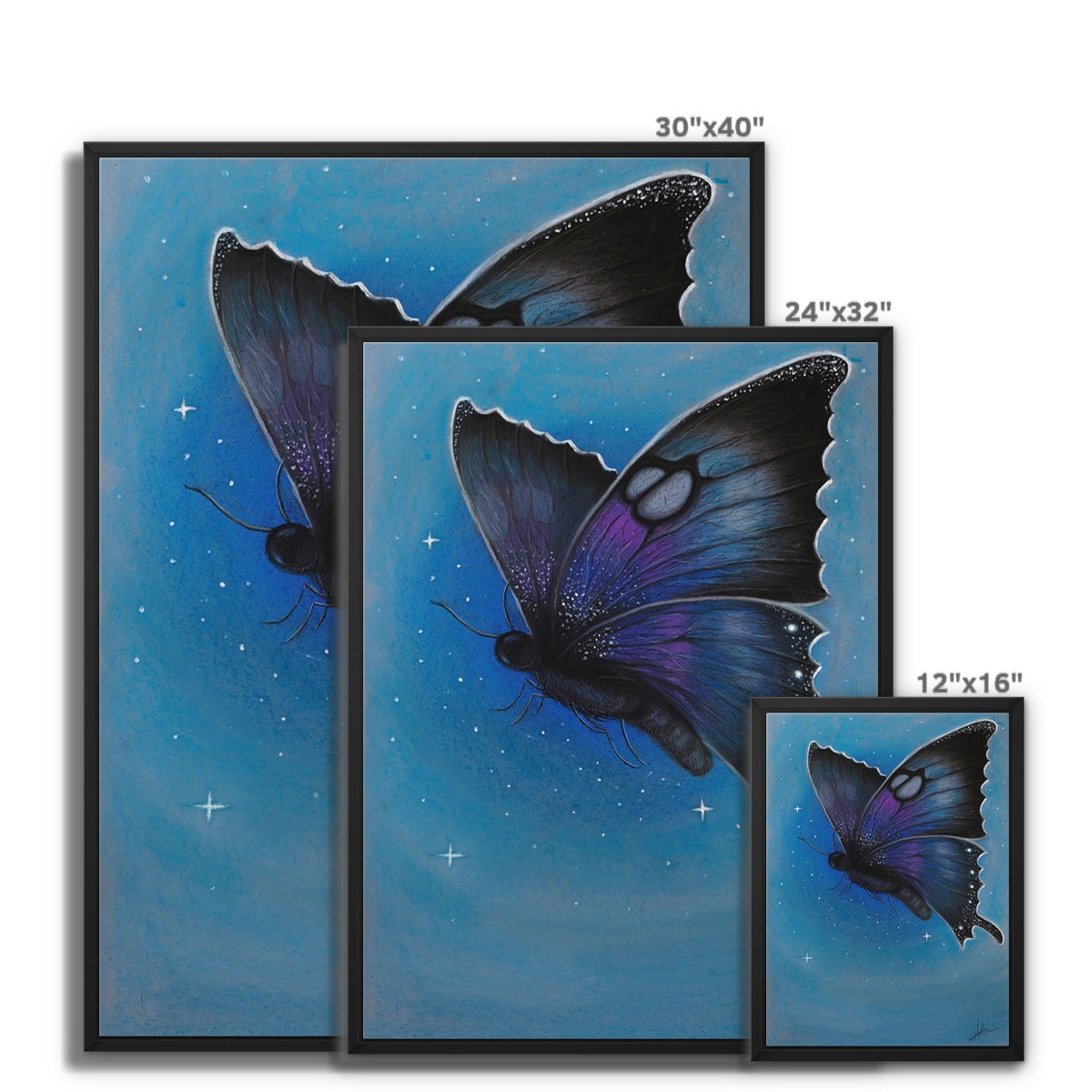 Framed Canvas | Starry Moth 