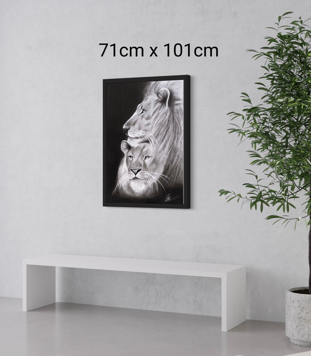 Framed Canvas | Lion