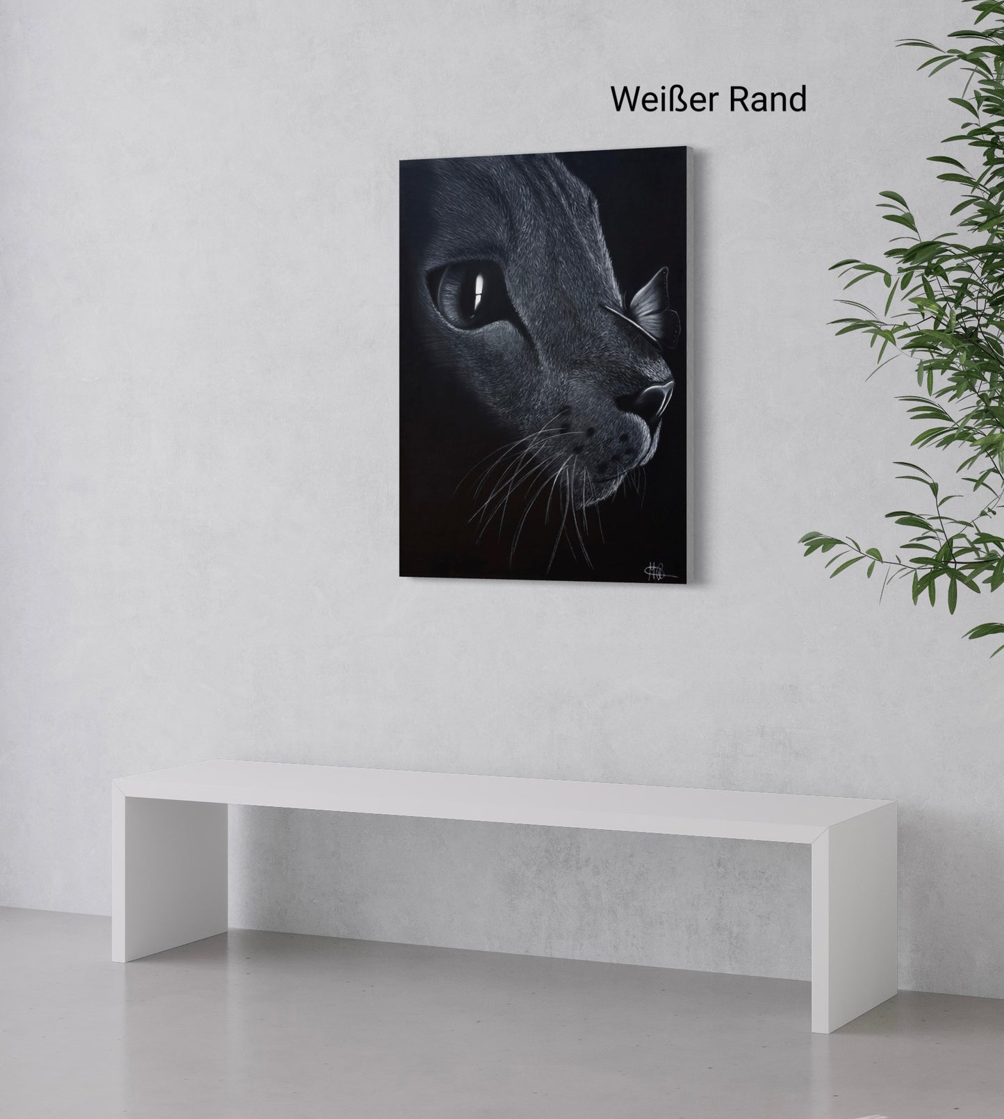 Leinwand | Katze