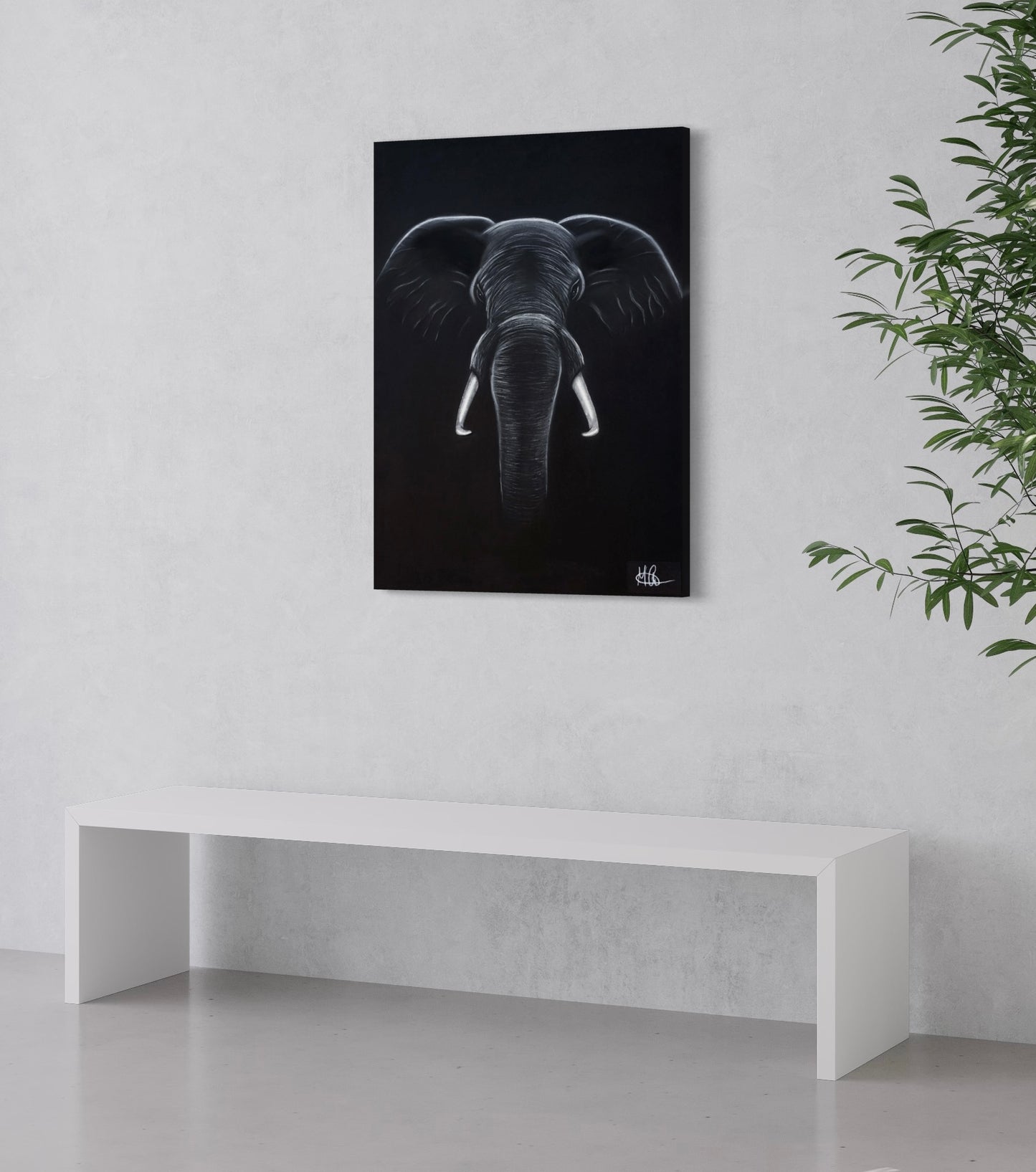 Framed Canvas | Elephant