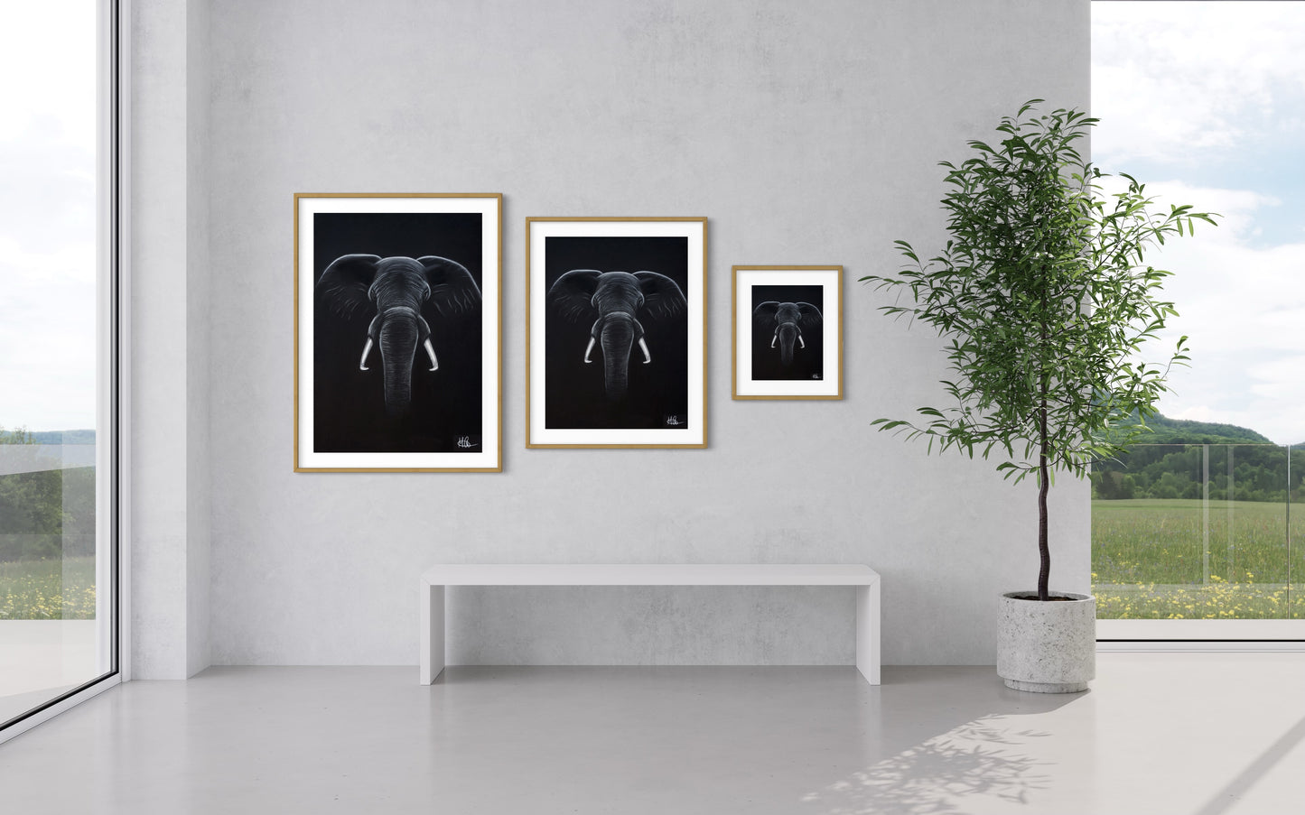 Framed & Mounted Print | Elephant