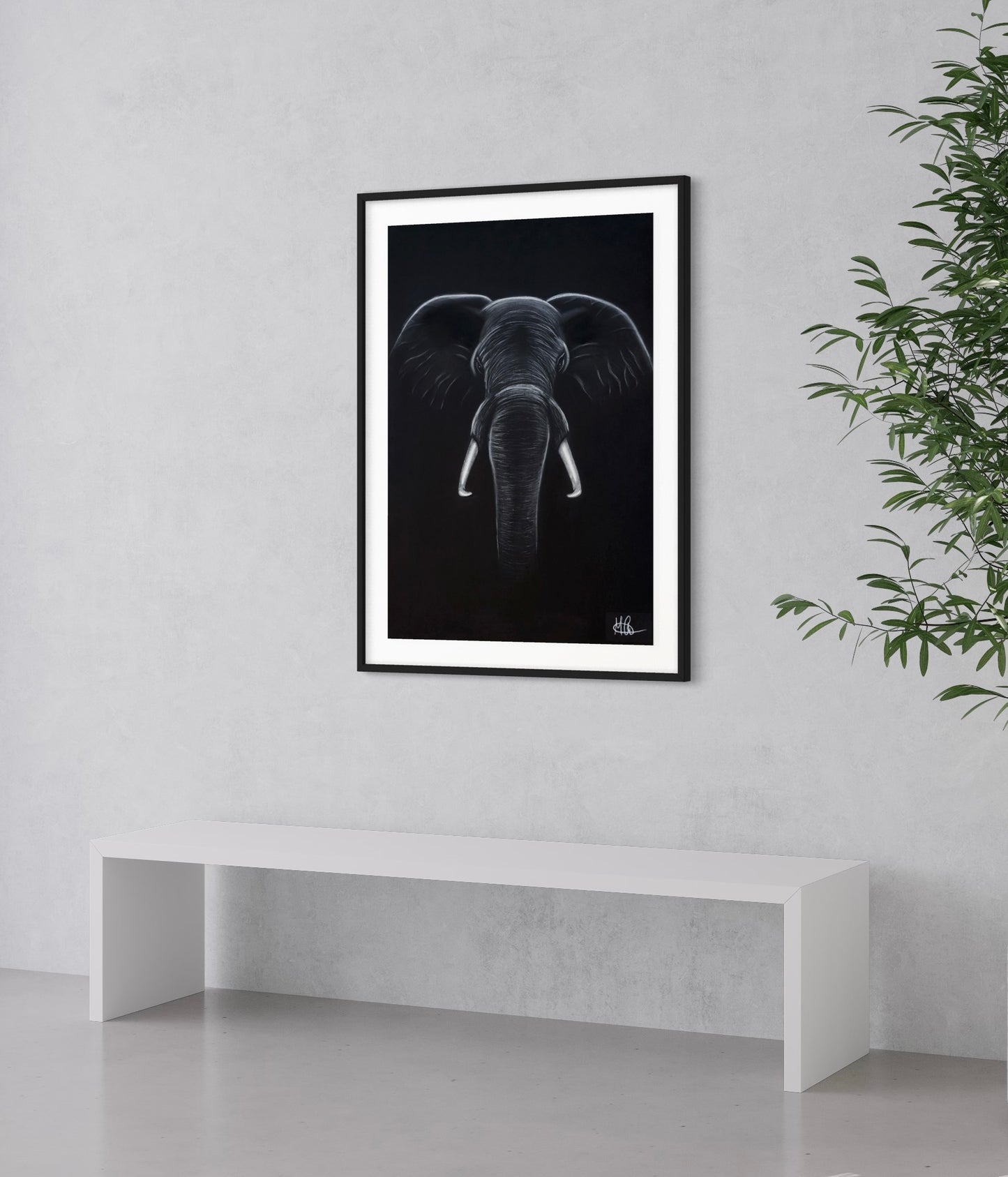 Framed & Mounted Print | Elephant