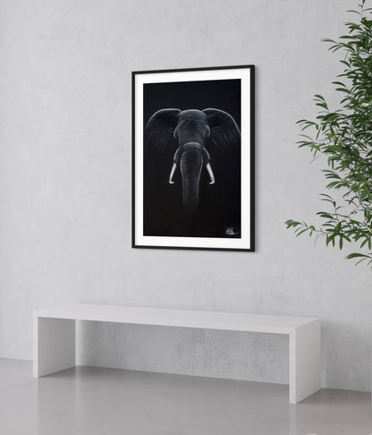 Framed & Mounted Print | Elephant