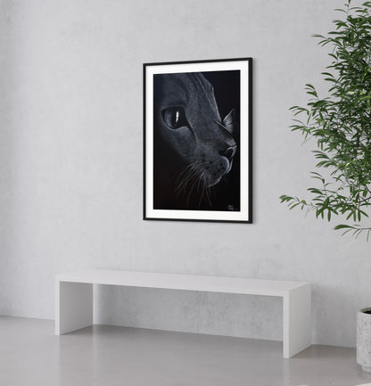 Framed & Mounted Print | Cat