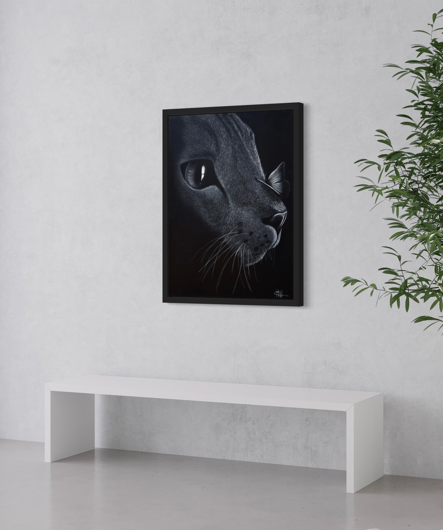 Framed Canvas | Cat