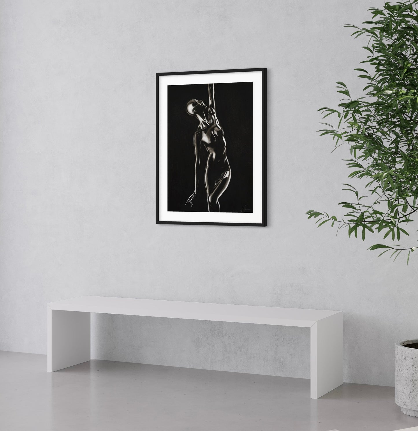 Framed & Mounted Print | Shine