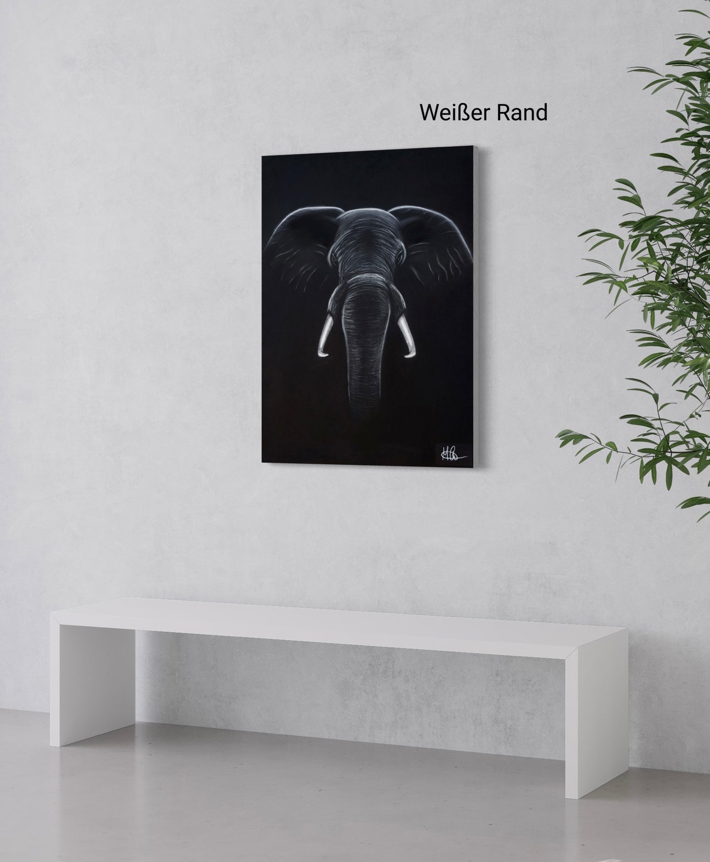 Leinwand | Elefant