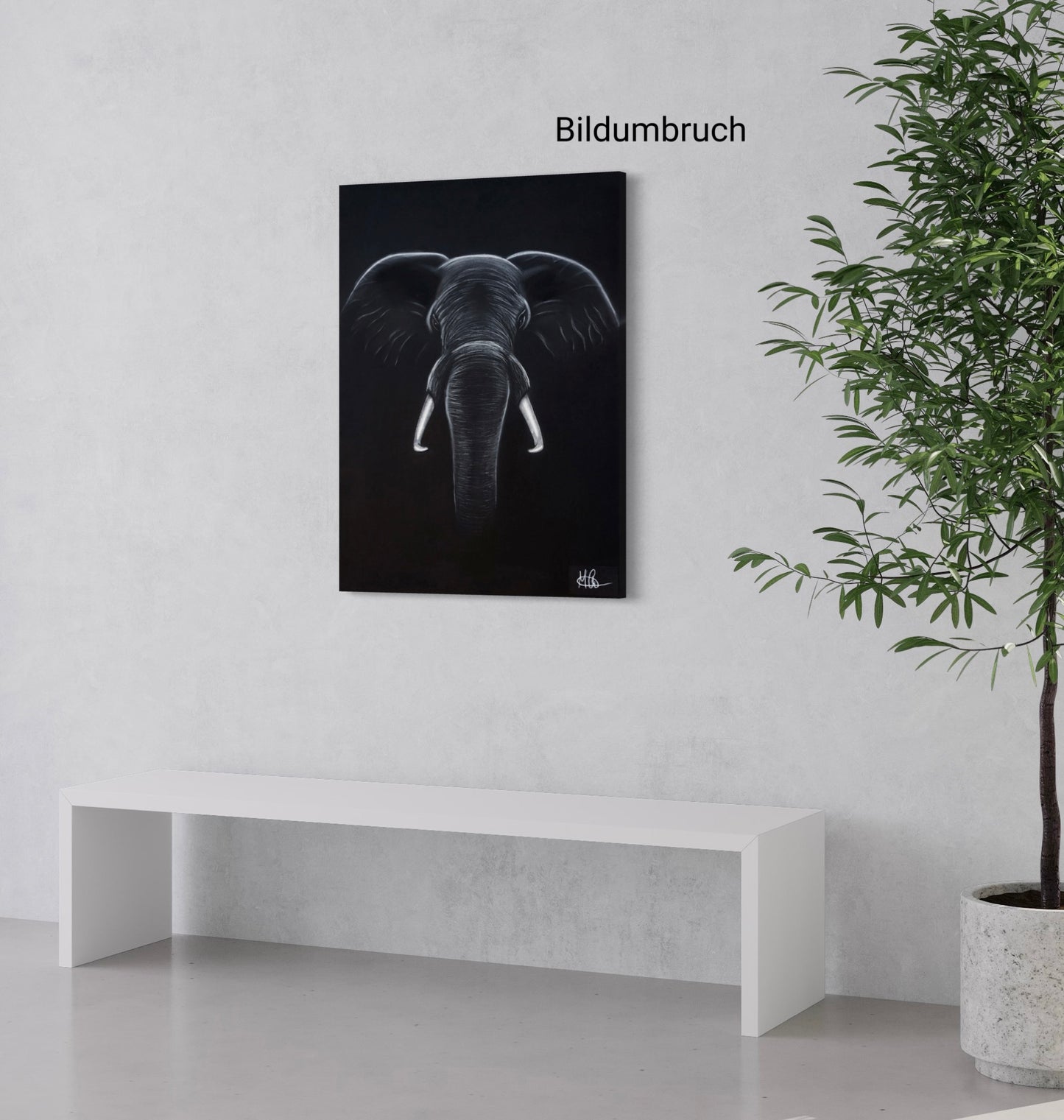 Leinwand | Elefant