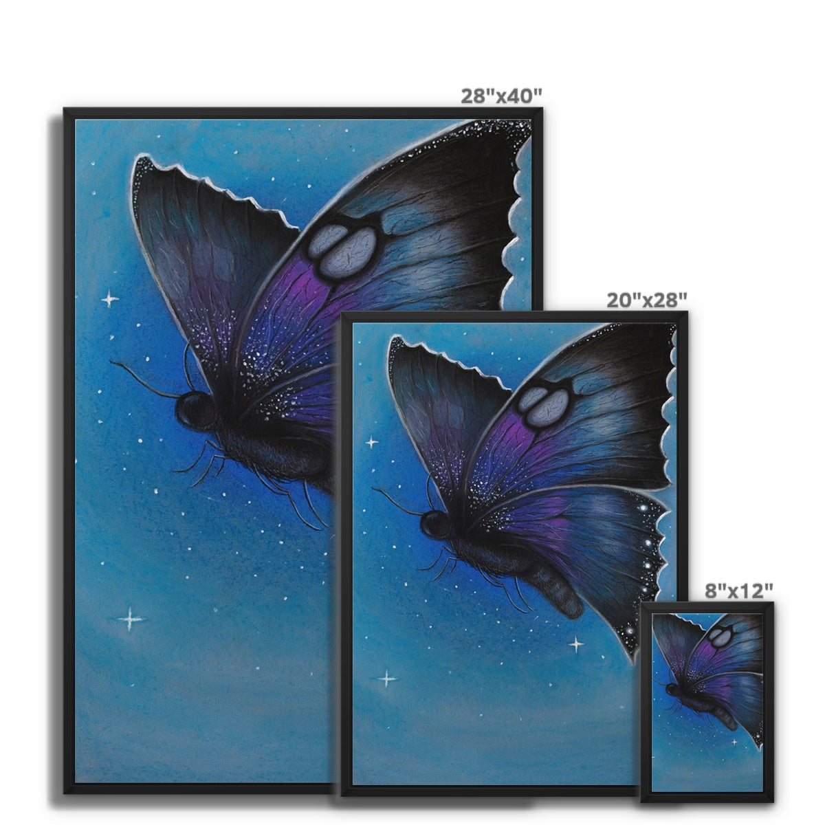 Framed Canvas | Starry Moth 