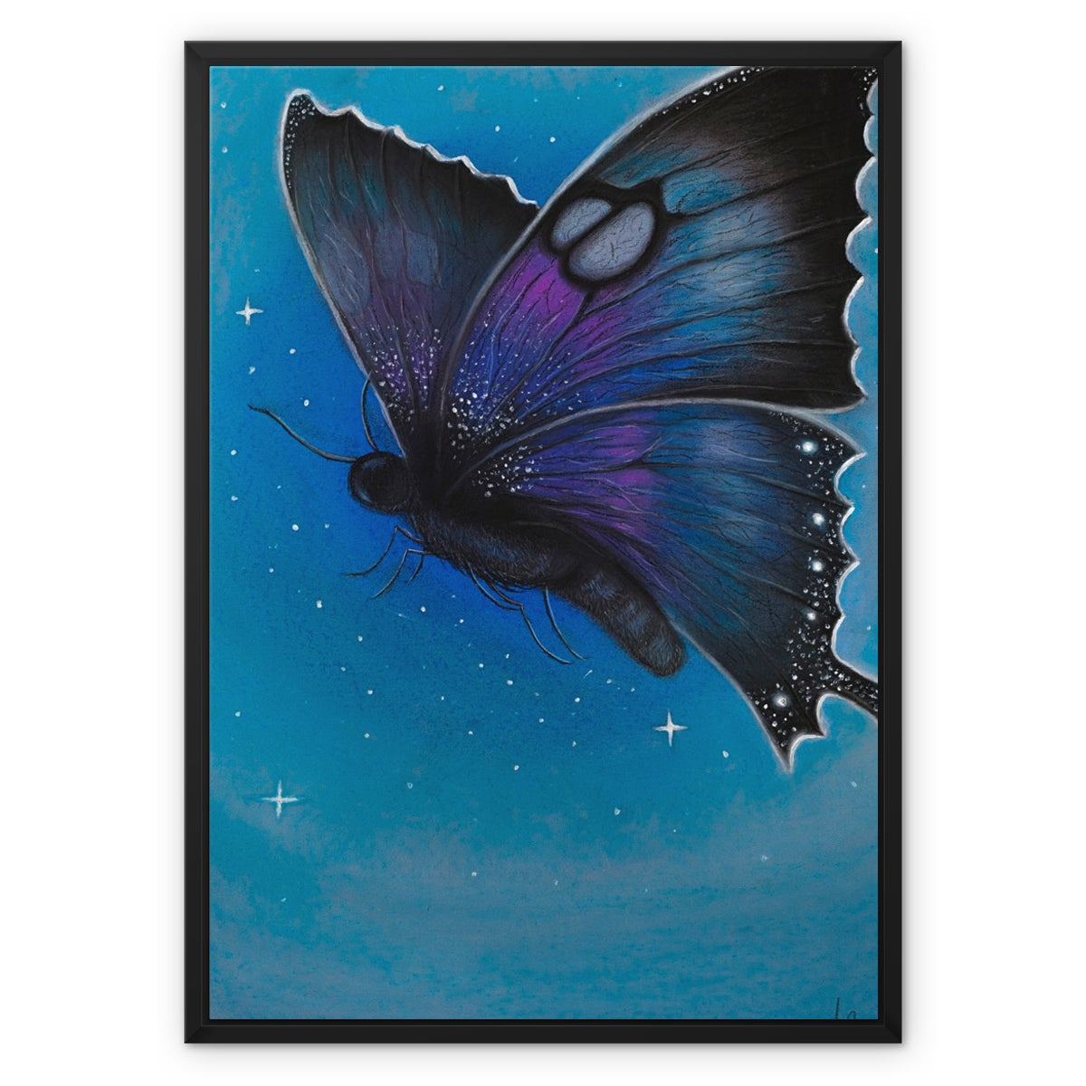 Framed Canvas | Starry Moth 