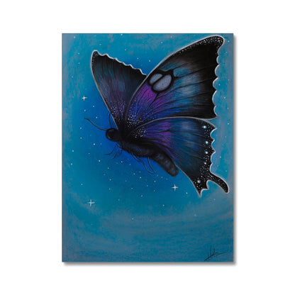 Bunter Schmetterling Canvas