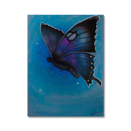 Bunter Schmetterling Canvas