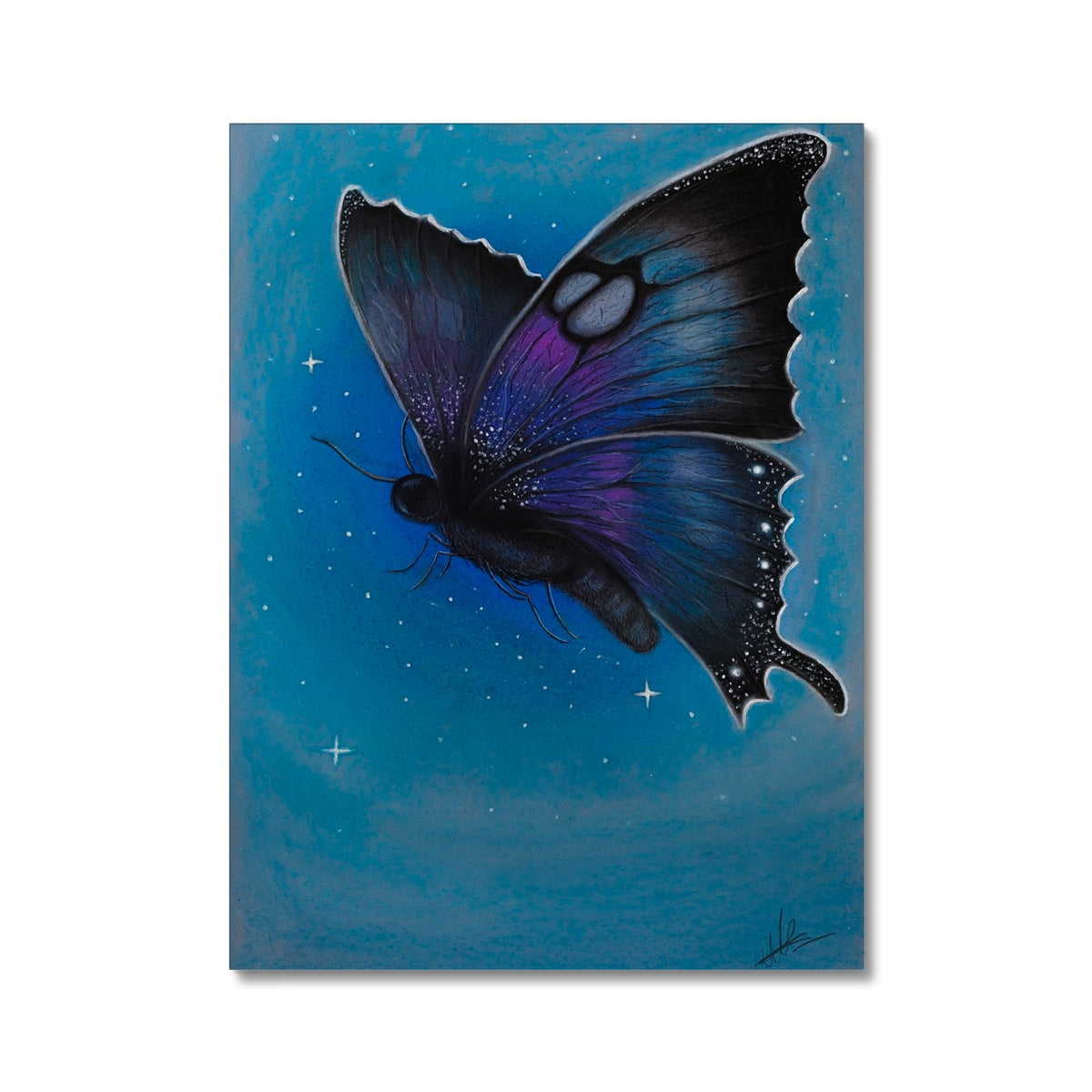 Canvas | Starry Moth