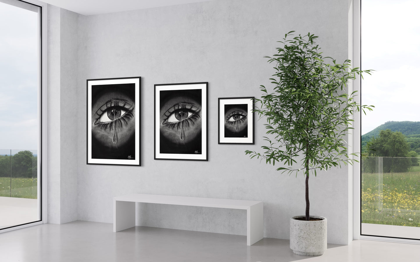 Framed & Mounted Print | Eye