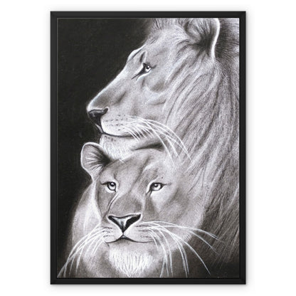 Framed Canvas | Lion