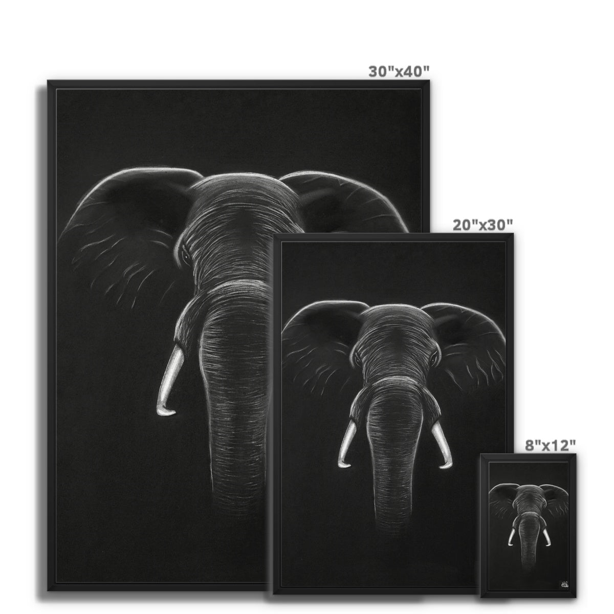 Framed Canvas | Elephant