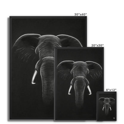 Framed Canvas | Elephant