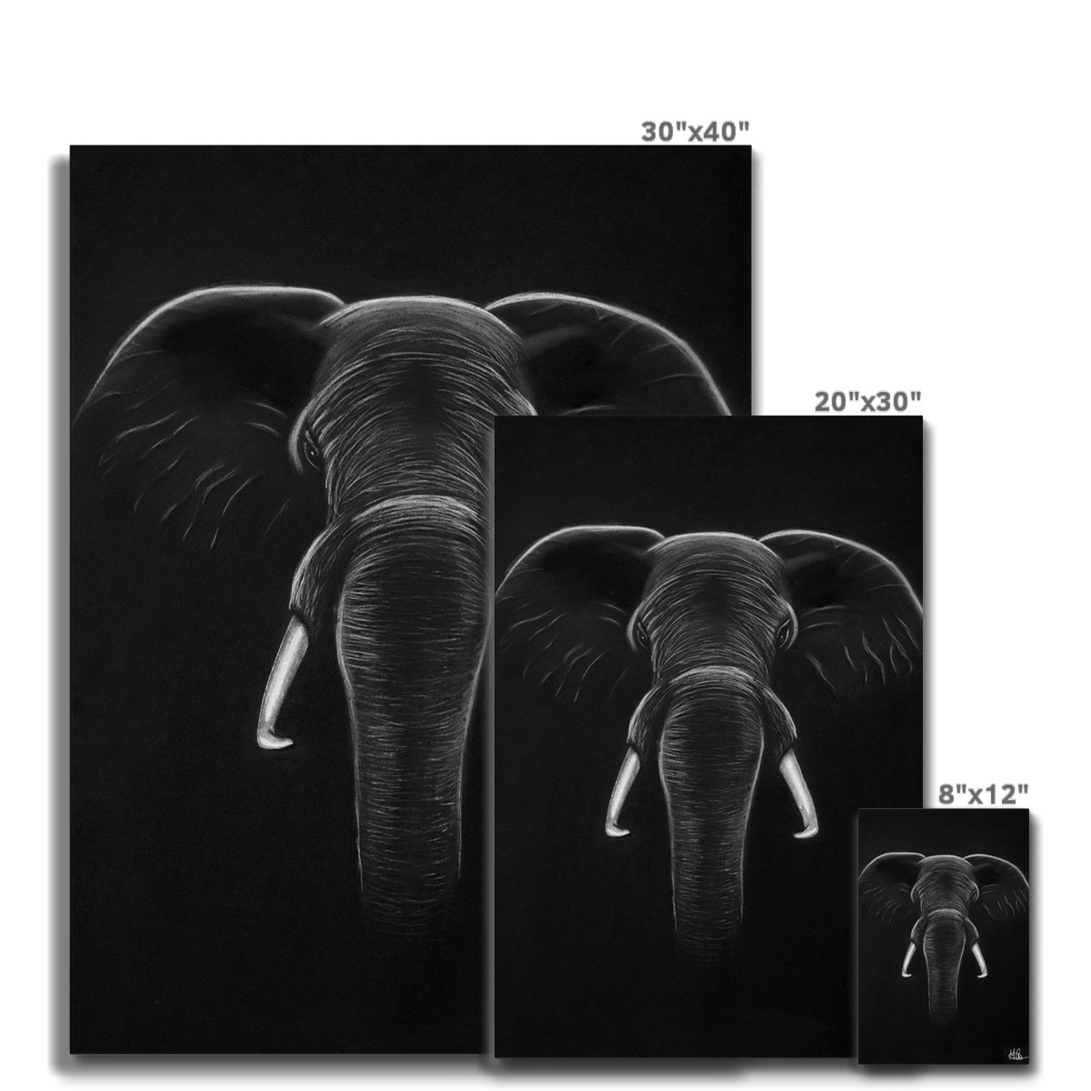 Canvas | Elephant