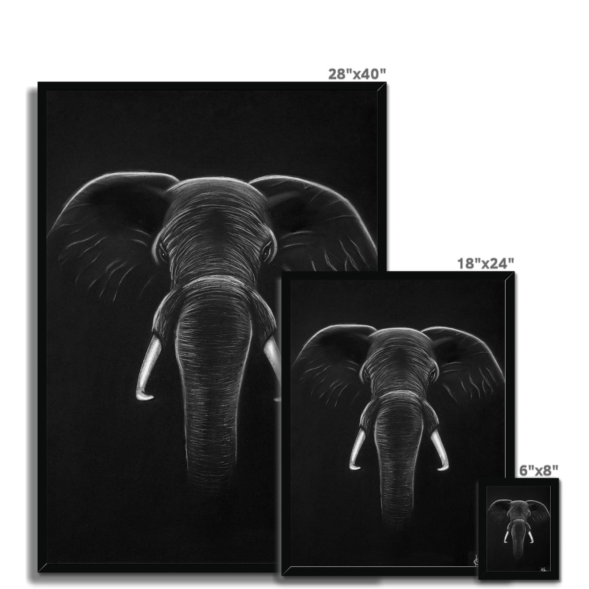 Framed Print | Elephant