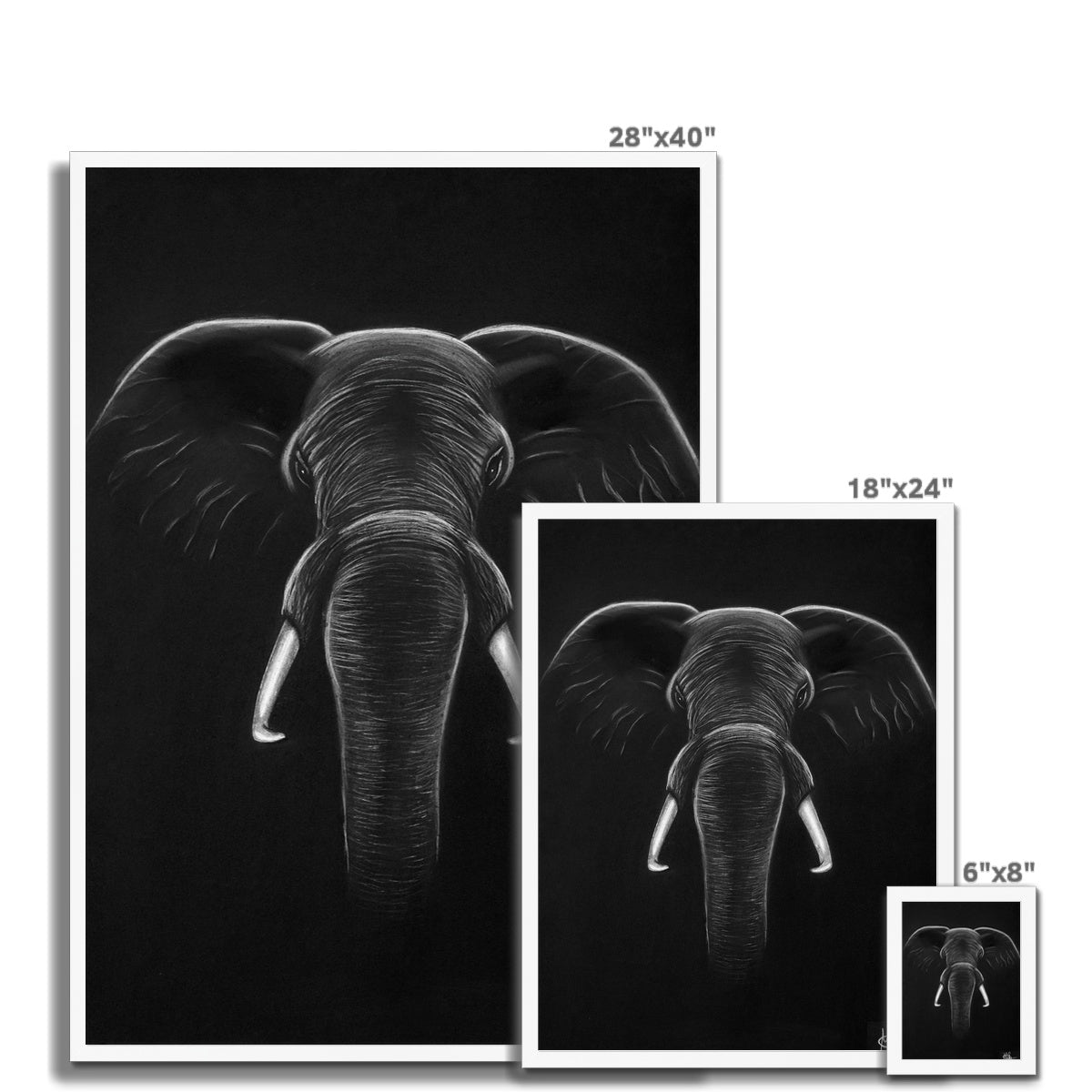 Framed Print | Elephant