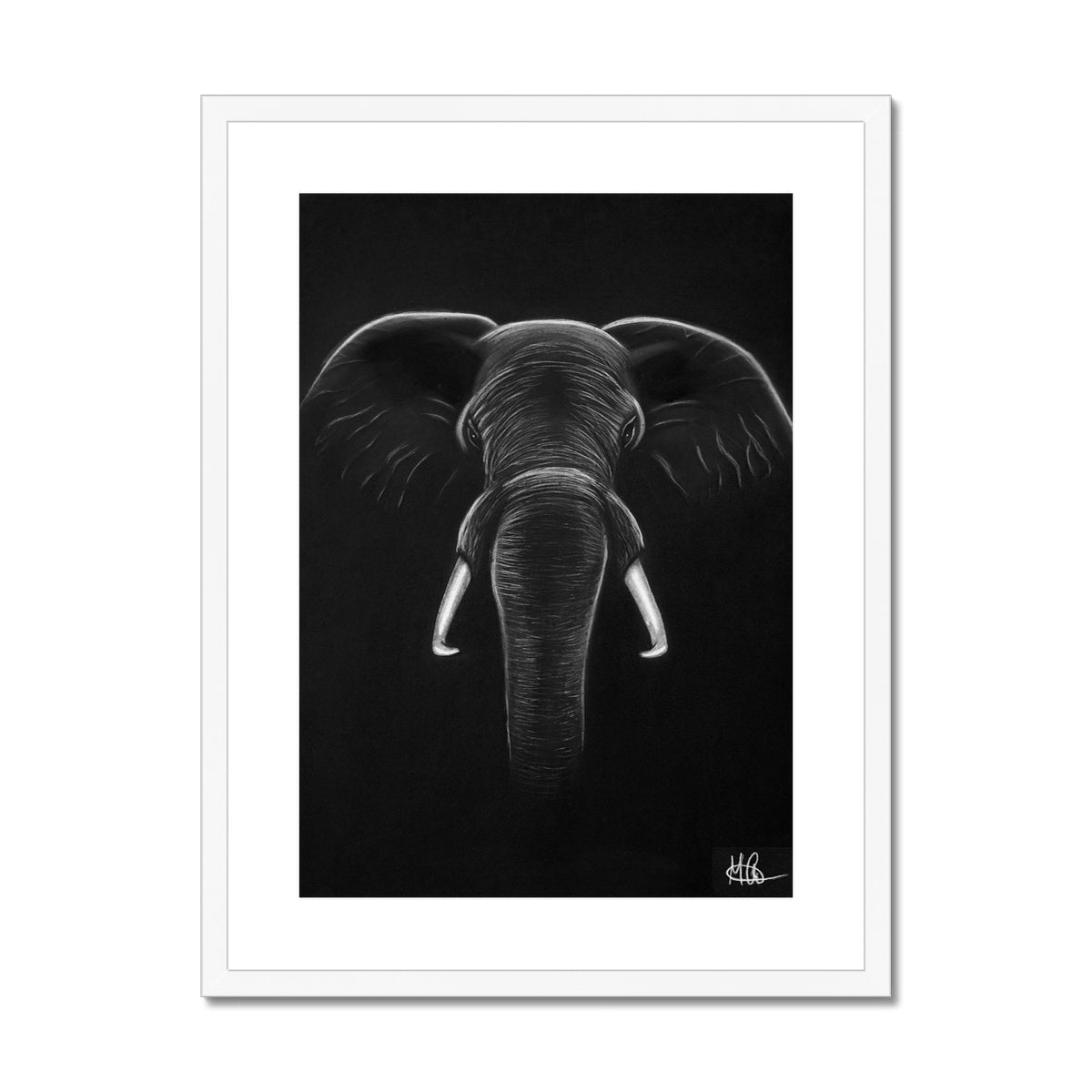 Framed & Mounted Print | Elephant