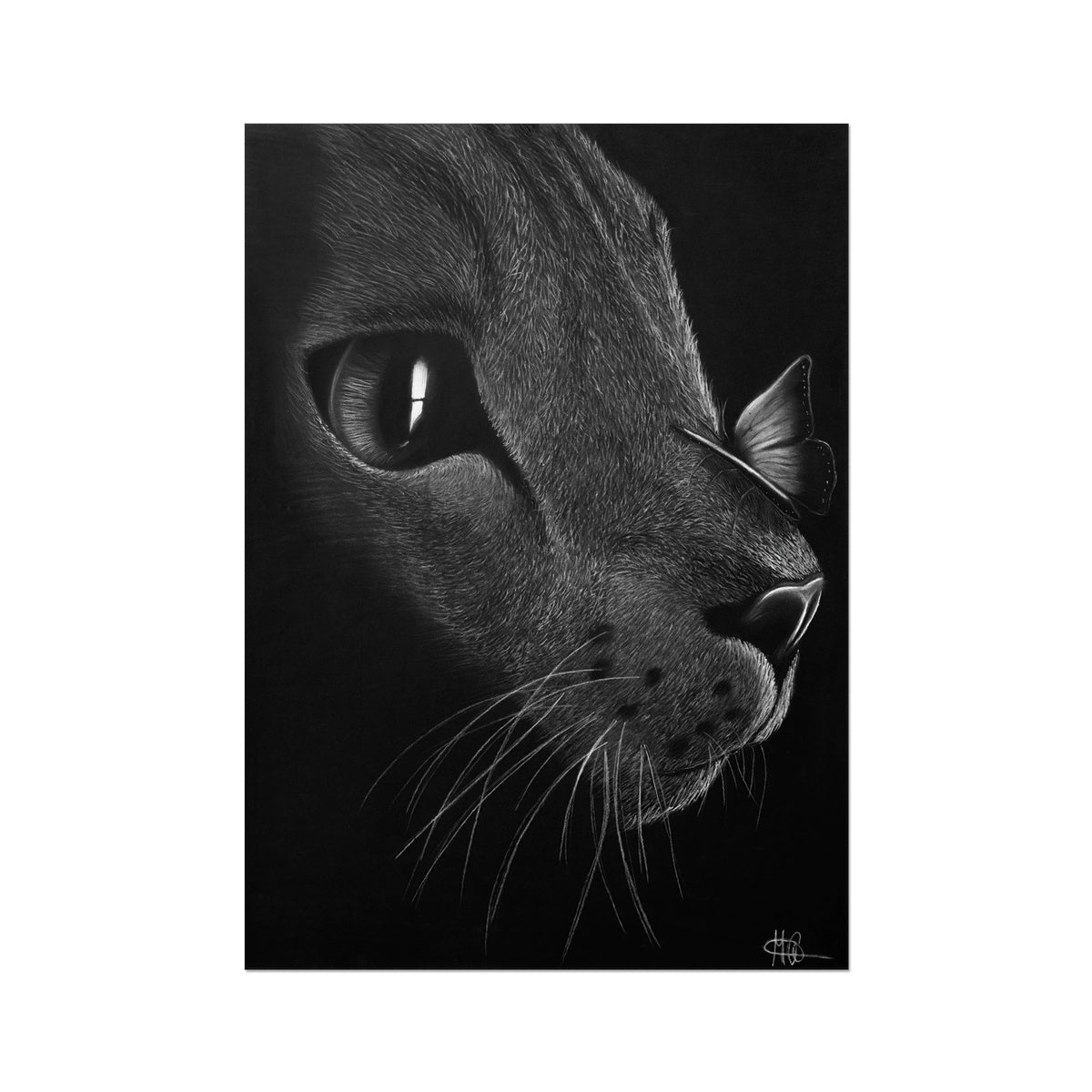 Hahnemühle German Etching Print | Katze