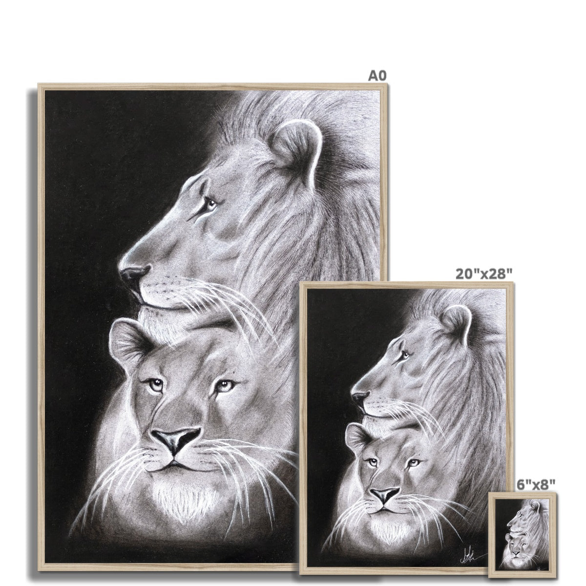 Lion Framed Print