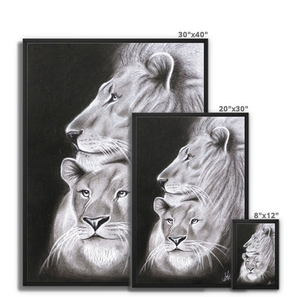 Framed Canvas | Lion