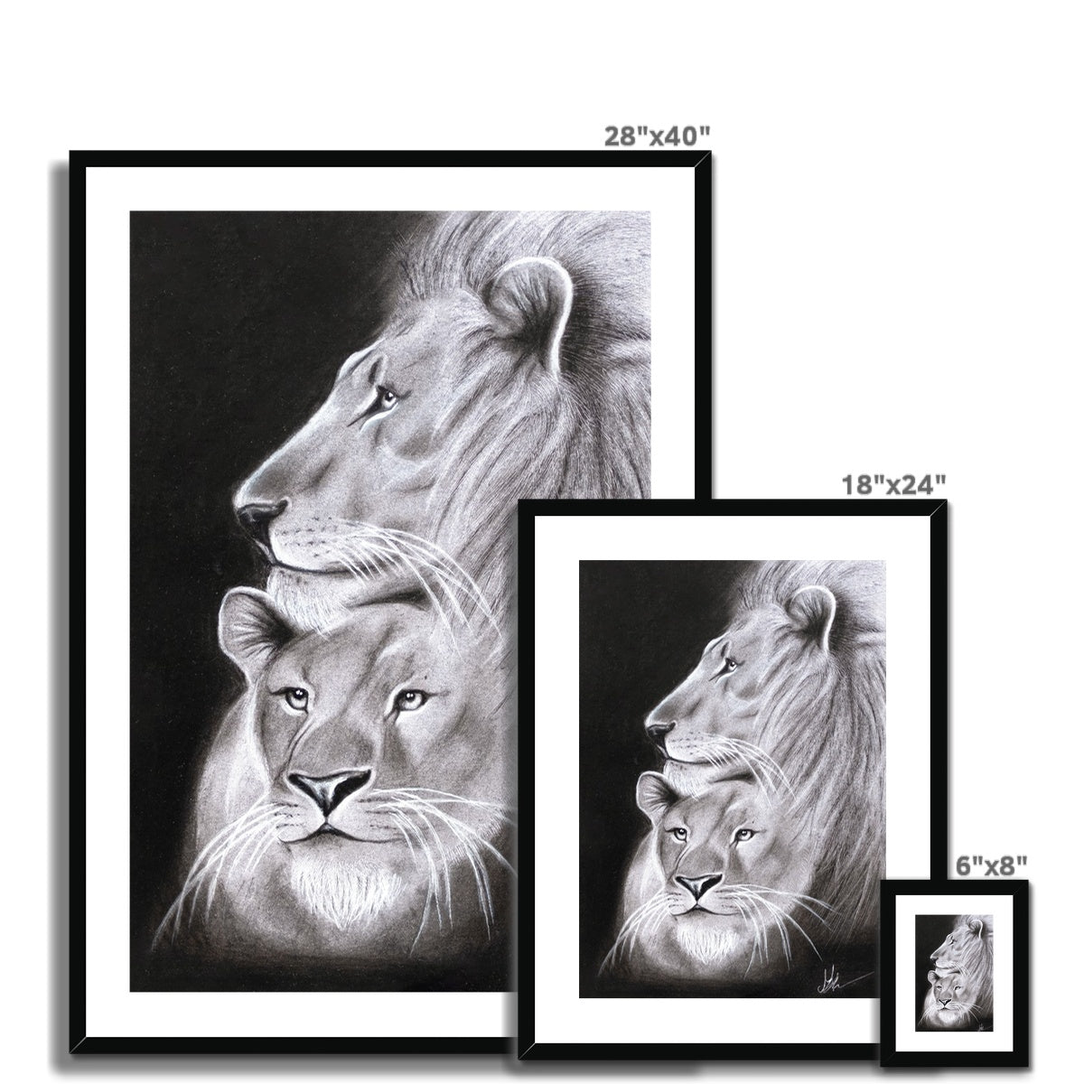 Framed & Mounted Print | Lion